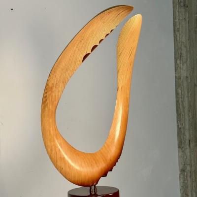Modern Boomerang Wooden Sculpture on Steel Pedestal by David Hymes Contemporary