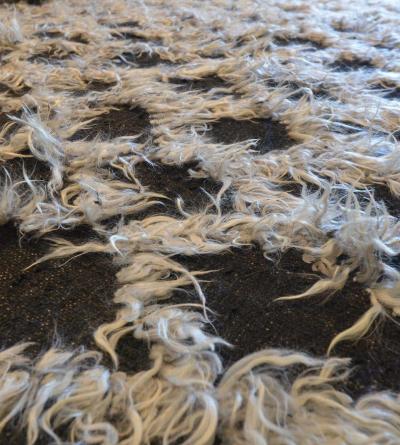 Modern Handwoven Wool Rug