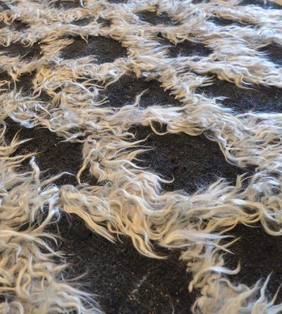 Modern Handwoven Wool Rug