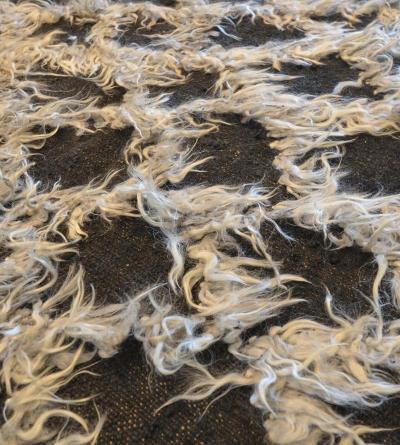 Modern Handwoven Wool Rug