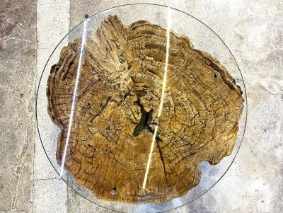 Modern Organic Driftwood Coffee Table With Glass Top Black Steel Base 2025