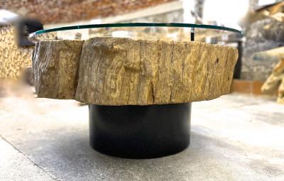 Modern Organic Driftwood Sofa Coffee Table With Glass Top On Black Steel Base