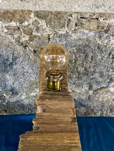 Modern Organic Driftwood Table Lamp with LED Lightbulb Ball 2021