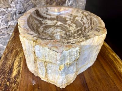 Modern Organic Petrified Wood Sink Grey Brown Beige polished IDN 2025