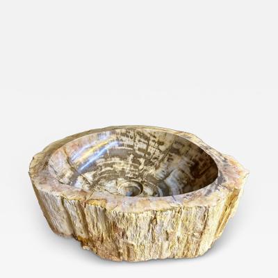 Modern Organic Petrified Wood Sink Grey Brown Beige polished IDN 2025