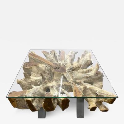 Modern Organic Teak Root Coffee Sofa Table With Glass Plate IDN 2022