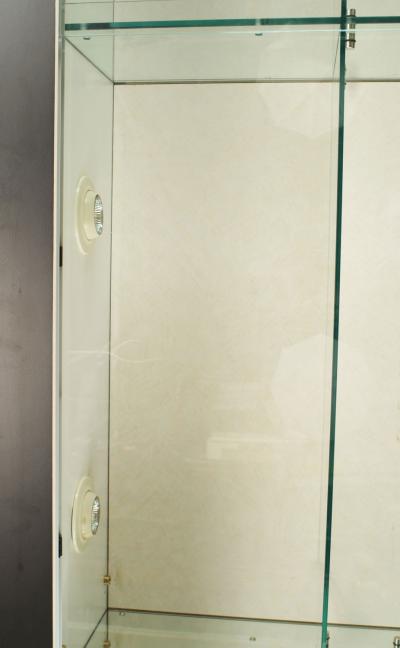 Modern Steel and Glass Showcase Cabinet