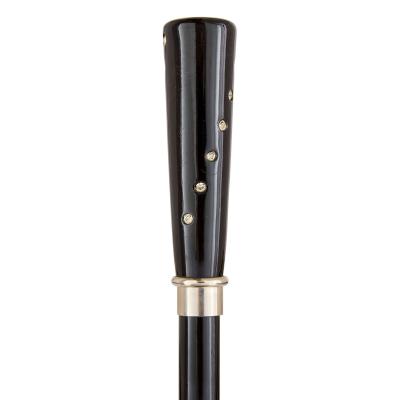 Modern paste gem inset wooden cane