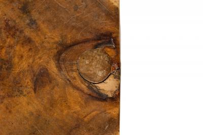 Modernist Carved Wooden Pedestal Table