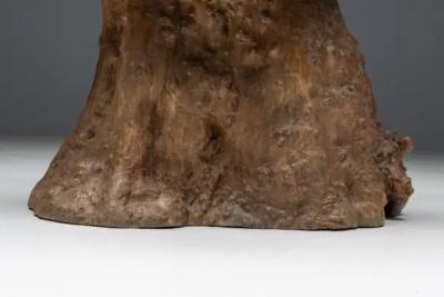 Monoxylite Wabi Sabi Bar Set France 1950s