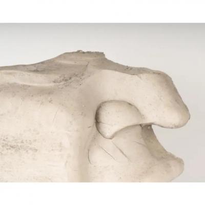 Monumental Cast Stone Architectural Element Nose and Mouth Profile