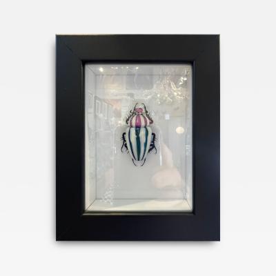 Murano Glass Beetle by Toffolo