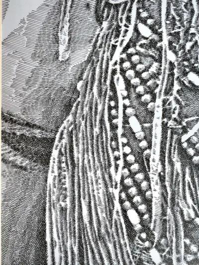 Murray Herbert Tinkelman Native American Indian Portrait in Pen and Ink