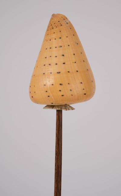NICOLAS CESBRON Pair of Nicolas Cesbron Tall Table Lamps with Shell Shades France 2023