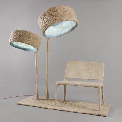 Nacho Carbonell LUCIFERASE XLI