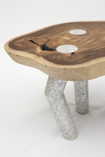Nada Debs COMING TO LIFE TABLE