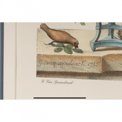 Nancy Corzine Pair of Nancy Corzine Framed Continental Botanical Lithograph Prints