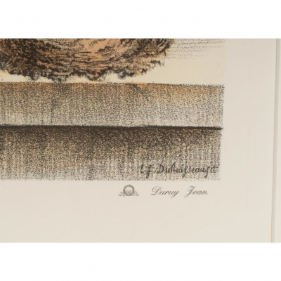 Nancy Corzine Pair of Nancy Corzine Framed Continental Botanical Lithograph Prints