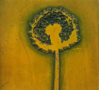 Naomi Savage Dandelion c 1960