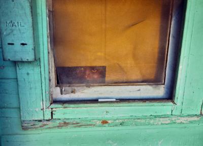 Nathan Benn Photograph by Nathan Benn Boy Staring from a Window Miami