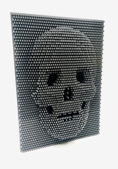 Nathan Sawaya Skull Pin Art