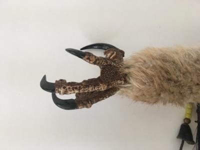 Native American Ceremonial Totem