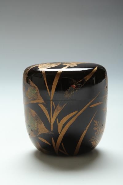 Natsume with Fireflies T 3940 1 