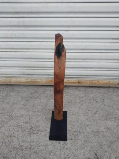 Natural Abstract Burl wood Sculpture on Metal Stand
