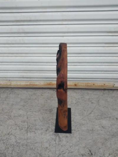 Natural Abstract Burl wood Sculpture on Metal Stand