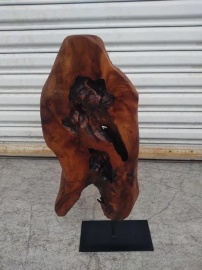 Natural Abstract Burl wood Sculpture on Metal Stand