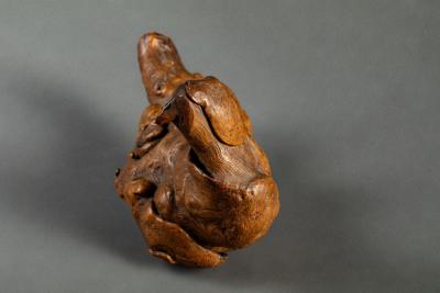 Natural Burlwood Form of a Pigeon