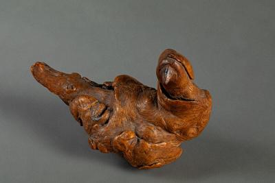 Natural Burlwood Form of a Pigeon