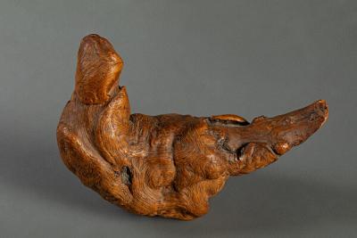 Natural Burlwood Form of a Pigeon