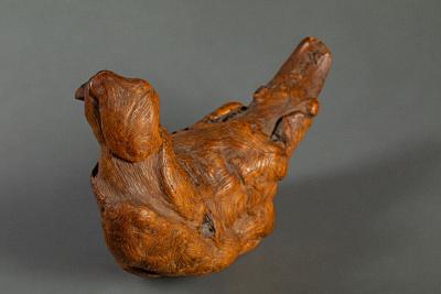 Natural Burlwood Form of a Pigeon
