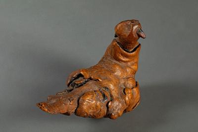 Natural Burlwood Form of a Pigeon