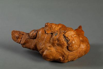 Natural Burlwood Form of a Pigeon