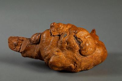 Natural Burlwood Form of a Pigeon