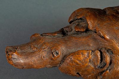 Natural Burlwood Form of a Pigeon