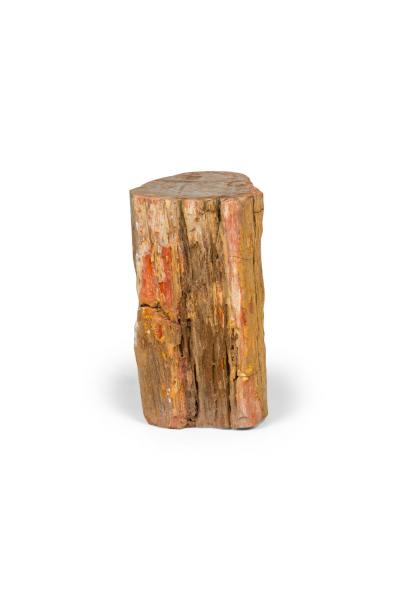 Natural Live Edge Petrified Wood Stump