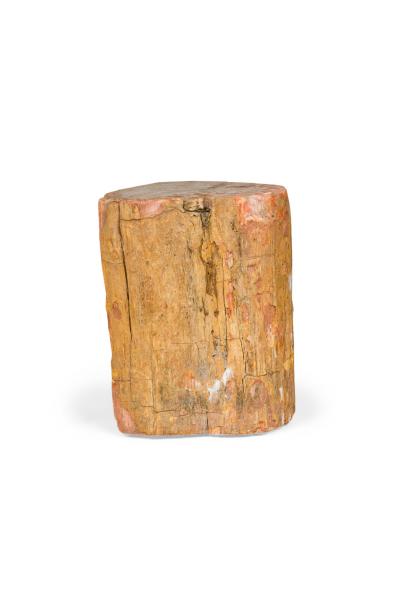 Natural Live Edge Petrified Wood Stump