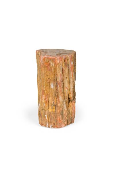 Natural Live Edge Petrified Wood Stump