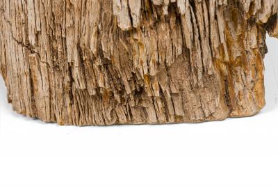 Natural Live Edge Petrified Wood Stump