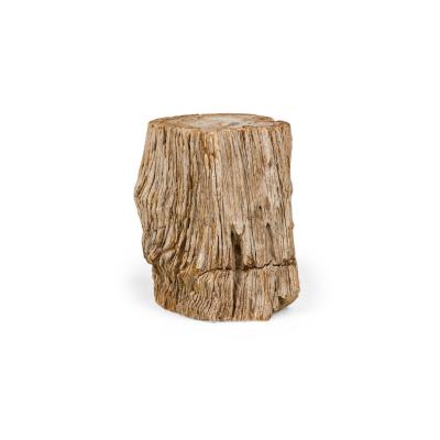Natural Live Edge Petrified Wood Stump