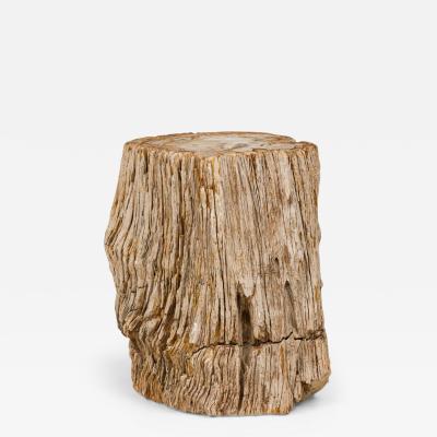 Natural Live Edge Petrified Wood Stump