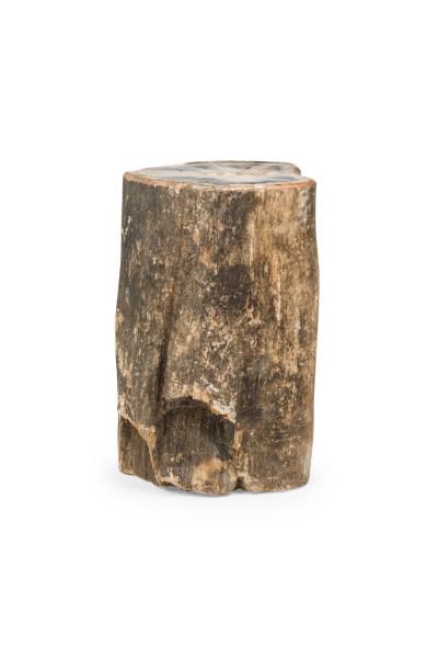 Natural Live Edge Petrified Wood Stump