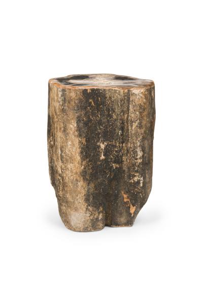 Natural Live Edge Petrified Wood Stump