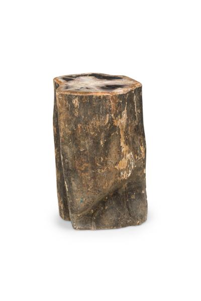 Natural Live Edge Petrified Wood Stump