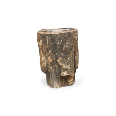 Natural Live Edge Petrified Wood Stump