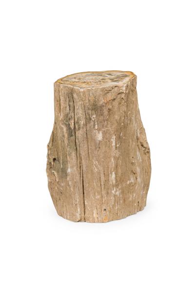 Natural Live Edge Petrified Wood Stump