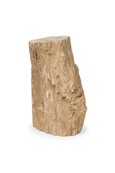 Natural Live Edge Petrified Wood Stump
